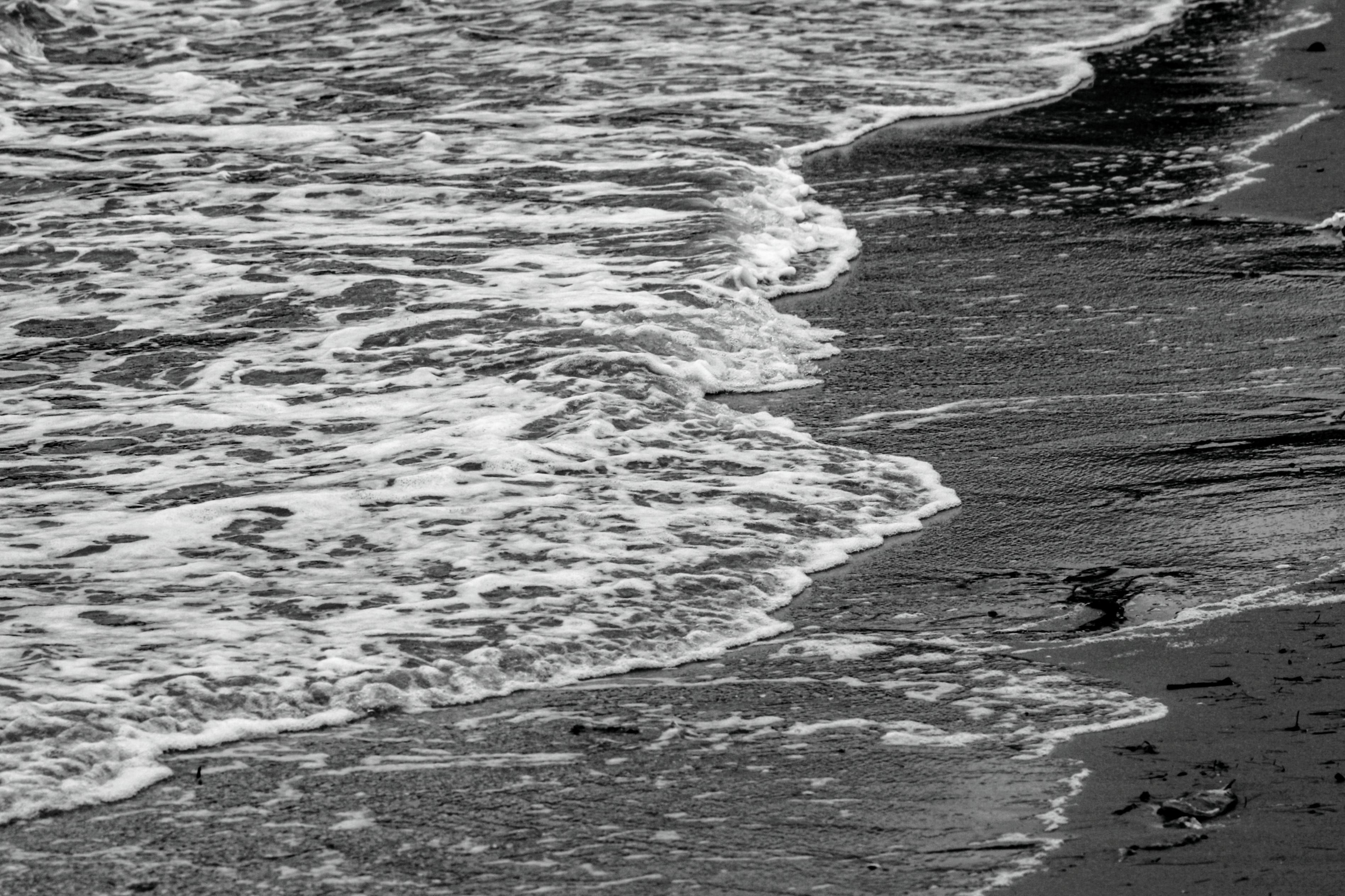 Black and White Ocean Waves Hitting the Shore · Free Stock Photo