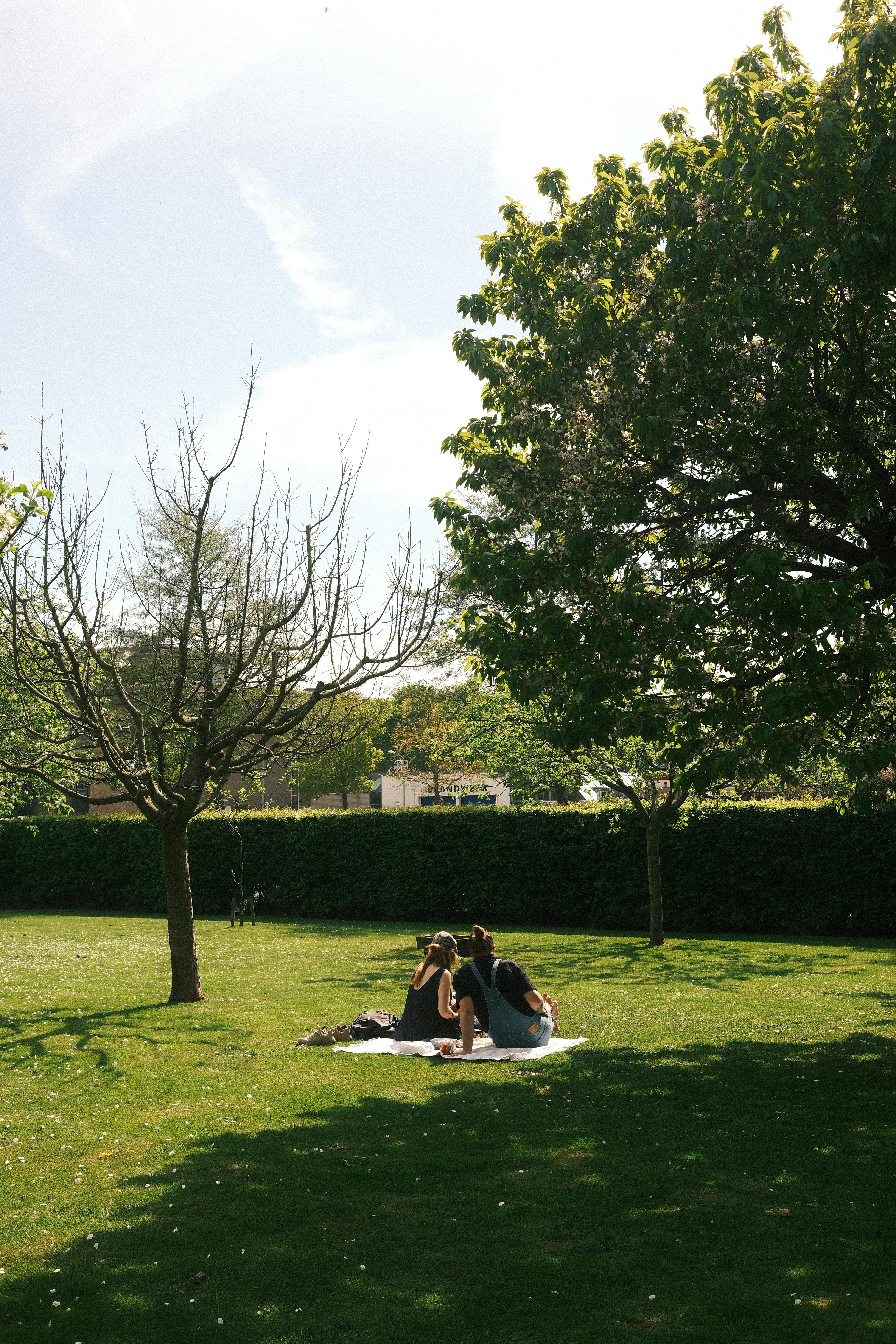 ฟรี คู่รักกำลังเพลิดเพลินกับการปิกนิกท่ามกลางแสงแดดในสวนสาธารณะอันเงียบสงบในเมืองดอร์เดรชท์ ประเทศเนเธอร์แลนด์ คลังภาพถ่าย