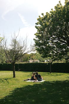 Couple enjoying a sunny picnic in a serene park in Dordrecht, Netherlands.