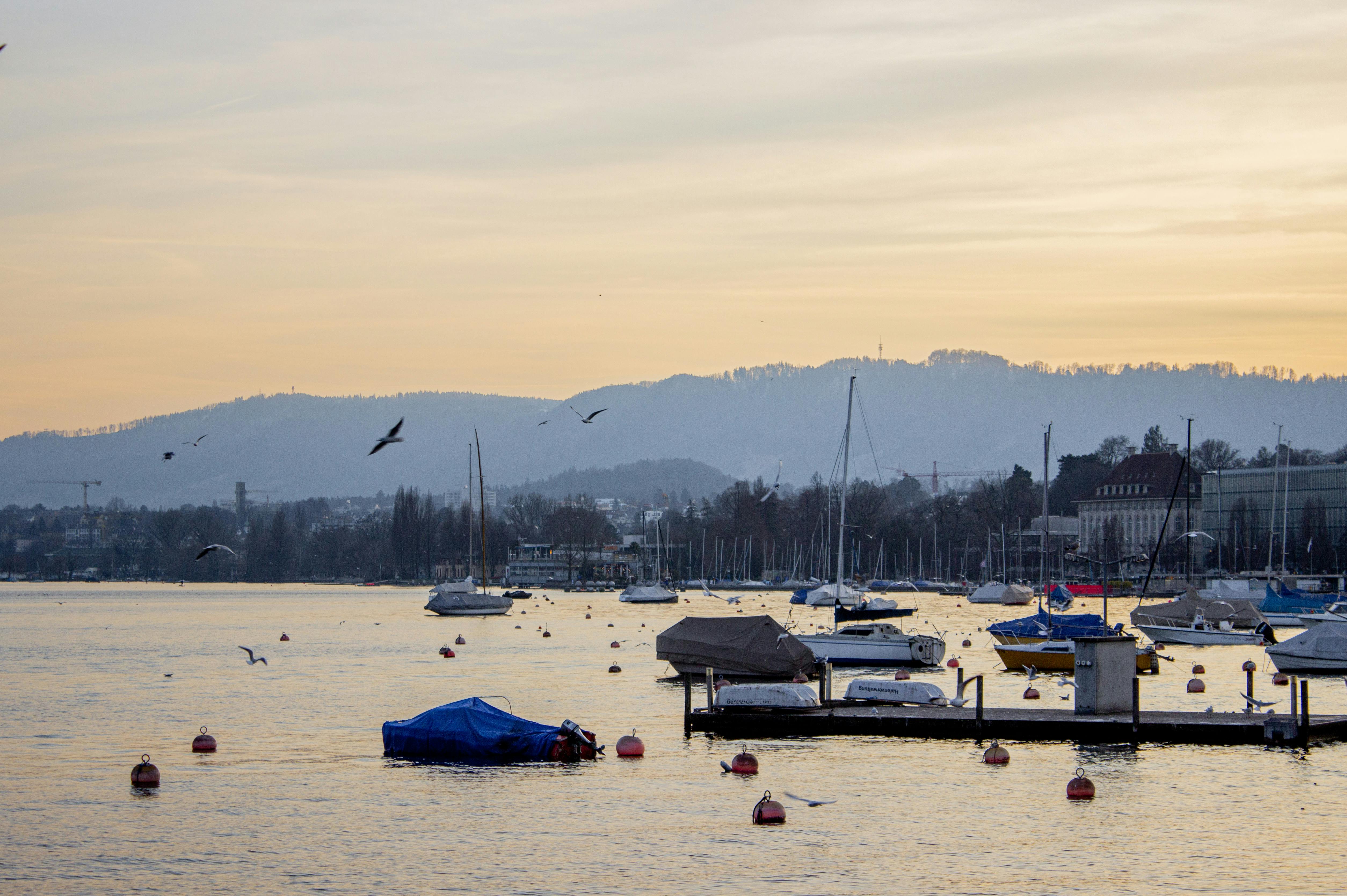 Vue panoramique de Zurich