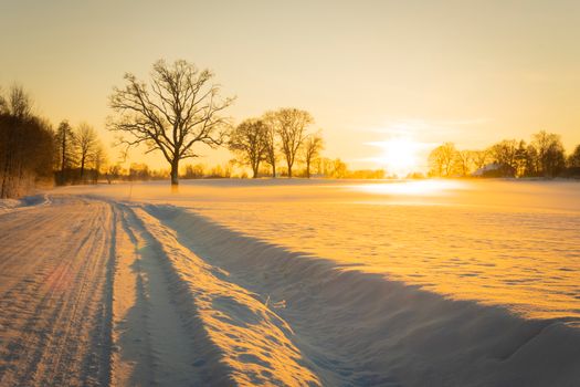 A tranquil winter scene with a sunset casting warm light over a snowy field and bare trees.