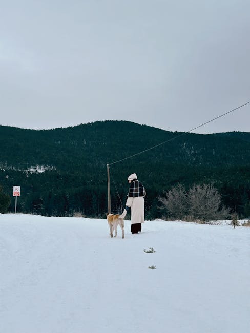 REI Exclusive: The North Face Drops Two New Ridgelite Jackets REI Exclusive: The North Face Drops Two New Ridgelite Jackets