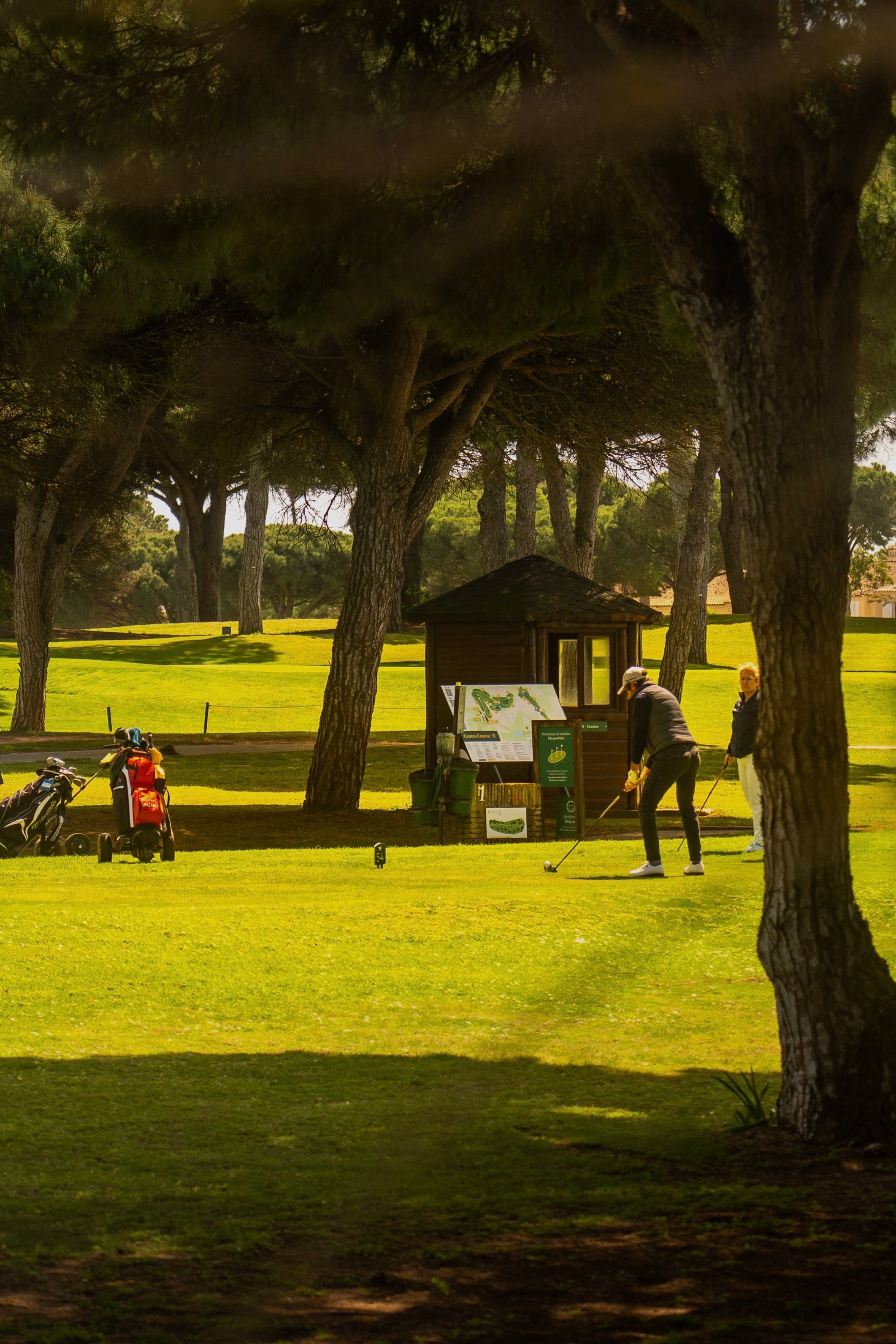 Fotomural Los golfistas juegan en un exuberante campo rodeado de árboles en Sevilla, España.