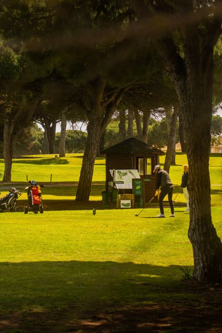 Fotomural Los golfistas juegan en un exuberante campo rodeado de árboles en Sevilla, España.