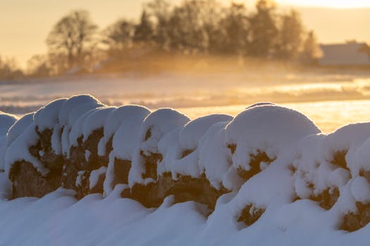 A serene snow-covered stone wall at sunrise in a winter landscape.