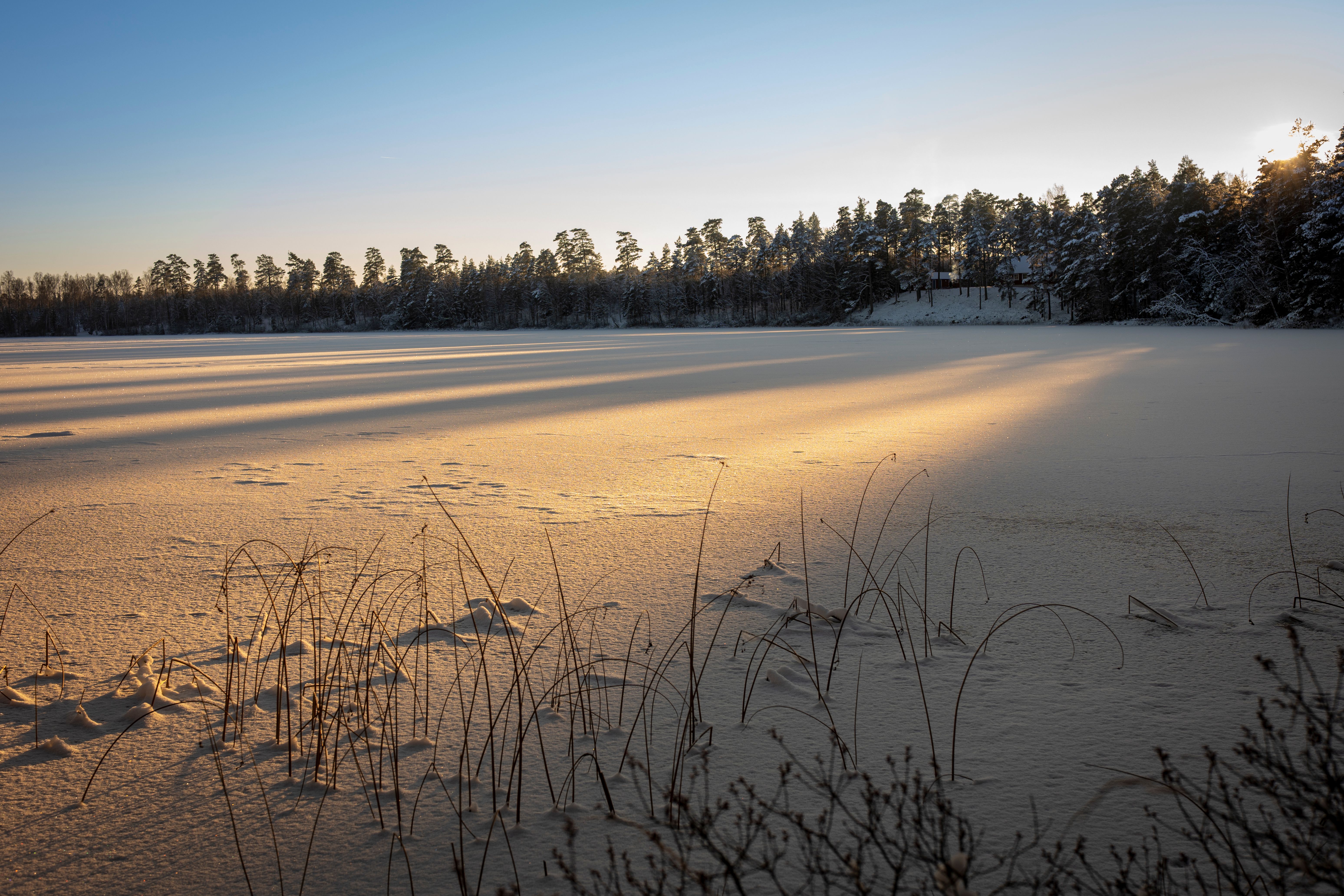 Serene Frozen Lake at Sunrise with Snow · Free Stock Photo