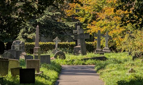 Free Serene cemetery scene with ancient gravestones surrounded by lush greenery and autumn foliage. Stock Photo
