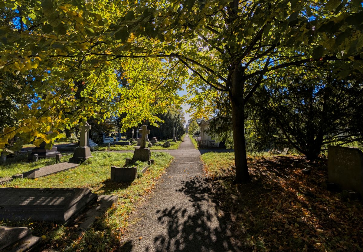 Poteca printre lespezi vechi, sub coroane dense