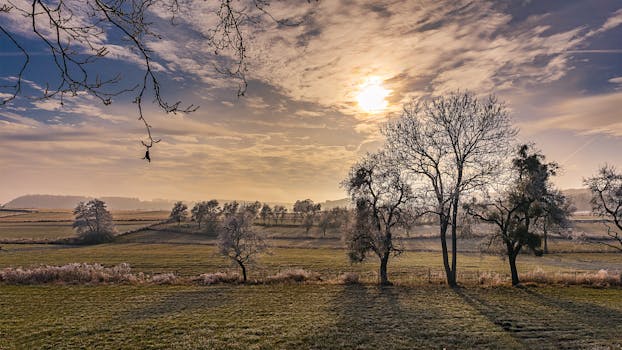 Free stock photo of light, dawn, landscape, nature