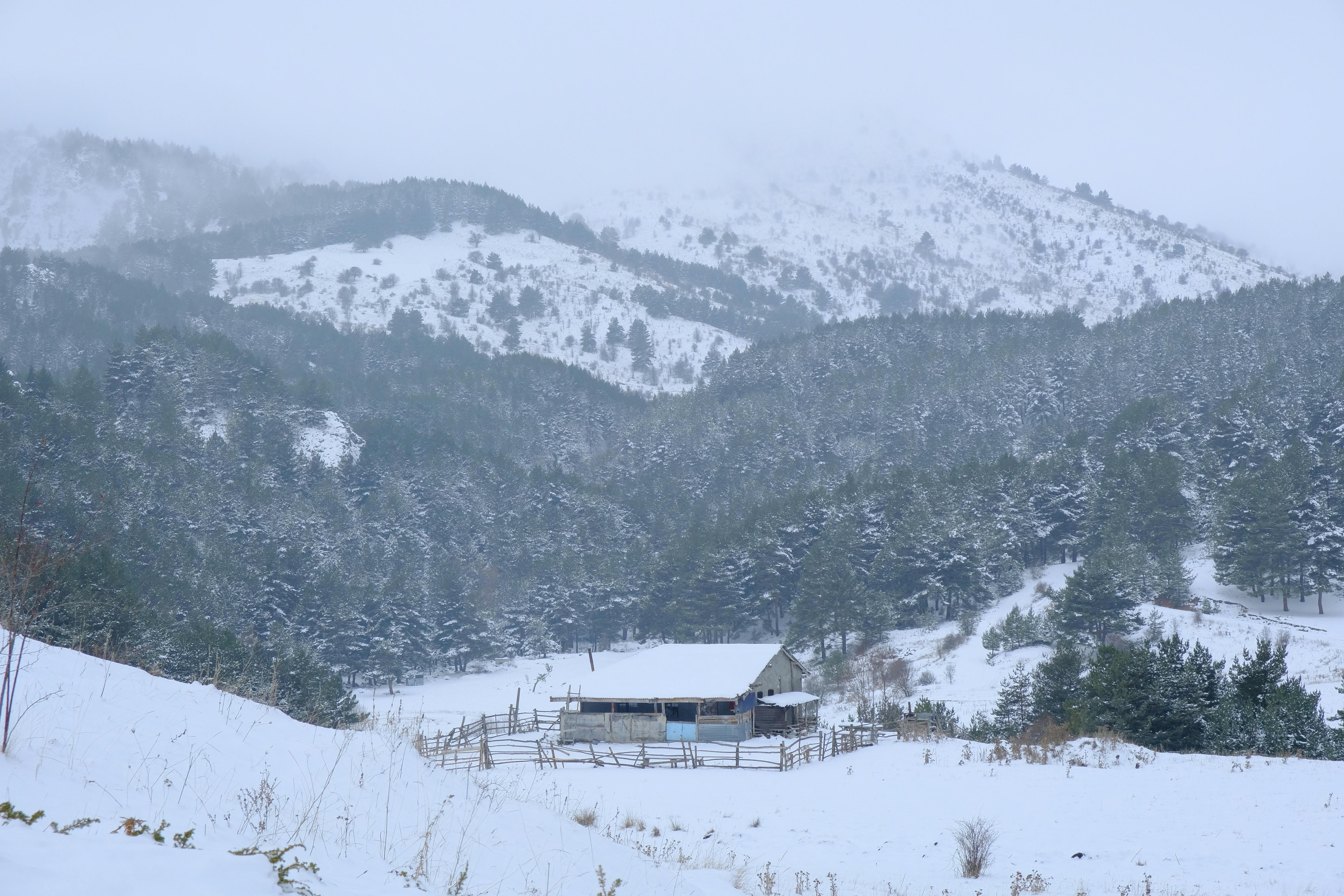 snow storm weather forecast