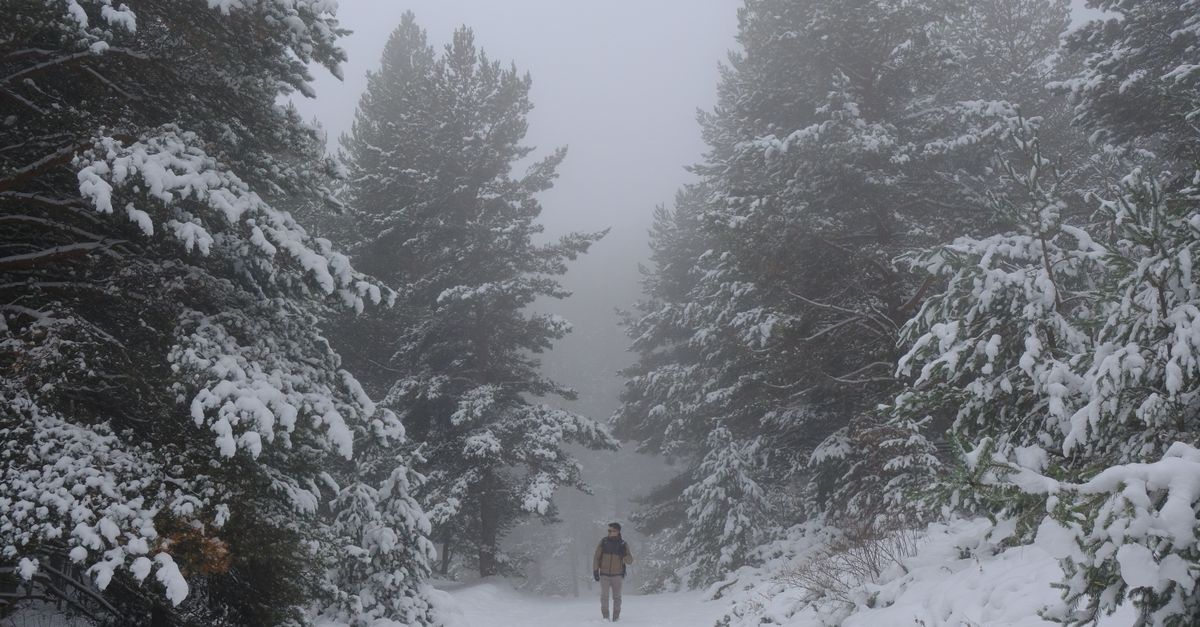 person choosing between two paths in a forest, one crowded and one quiet