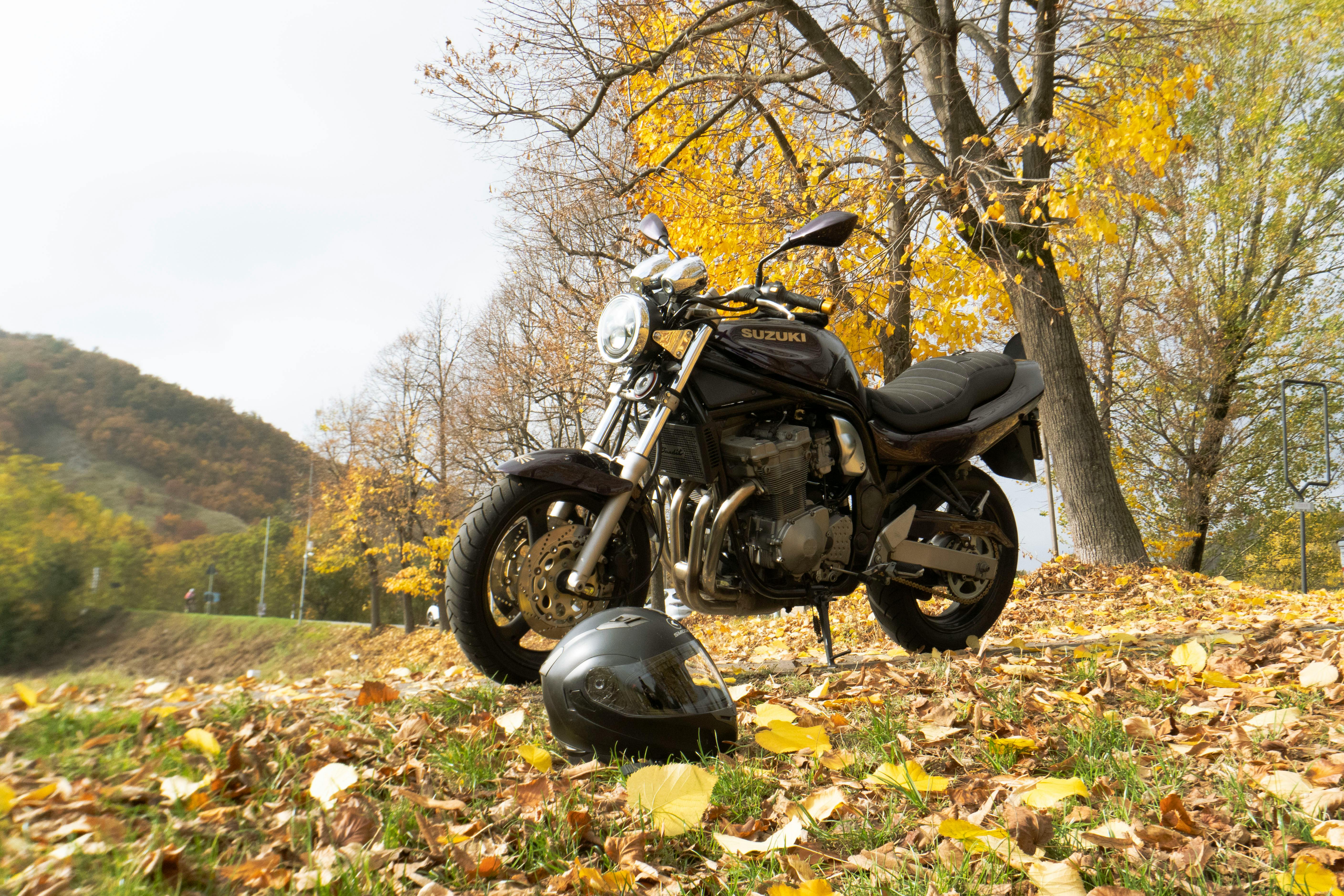 Tom Bearden Motionless Electromagnetic Generator