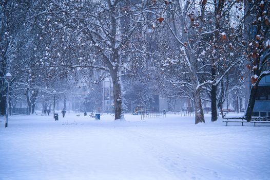 Peaceful winter scene of a snow-covered park with bare trees and benches.