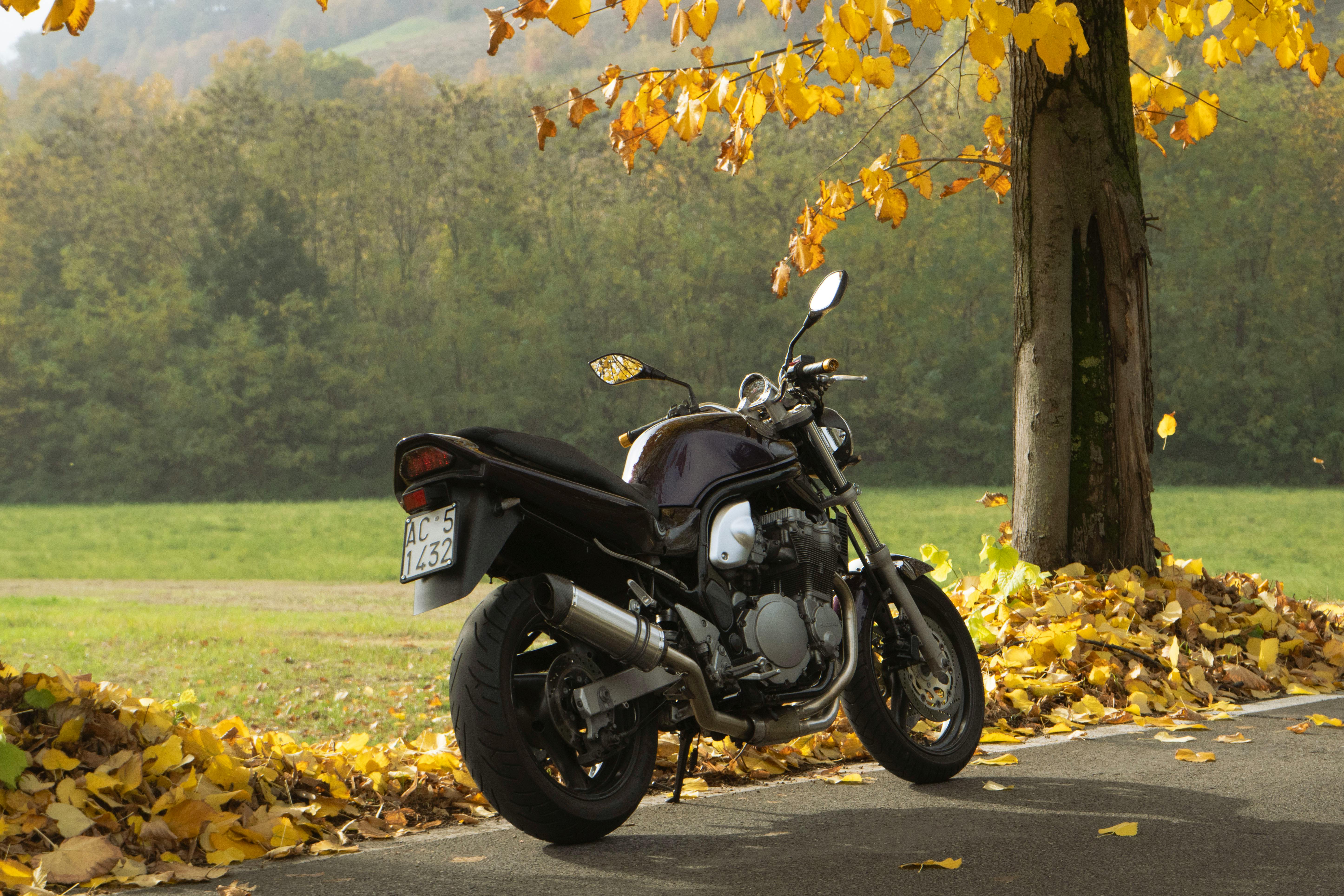 A motorcycle parked under a tree with vibrant autumn leaves on a sunny day.
