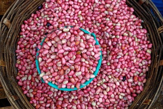 Beans