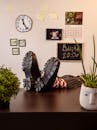 Casual Office Setting with Colorful Socks and Plants