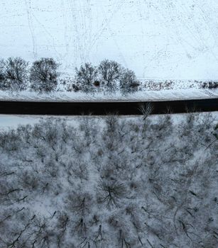 Aerial view of a snowy road lined with barren trees in a winter landscape.