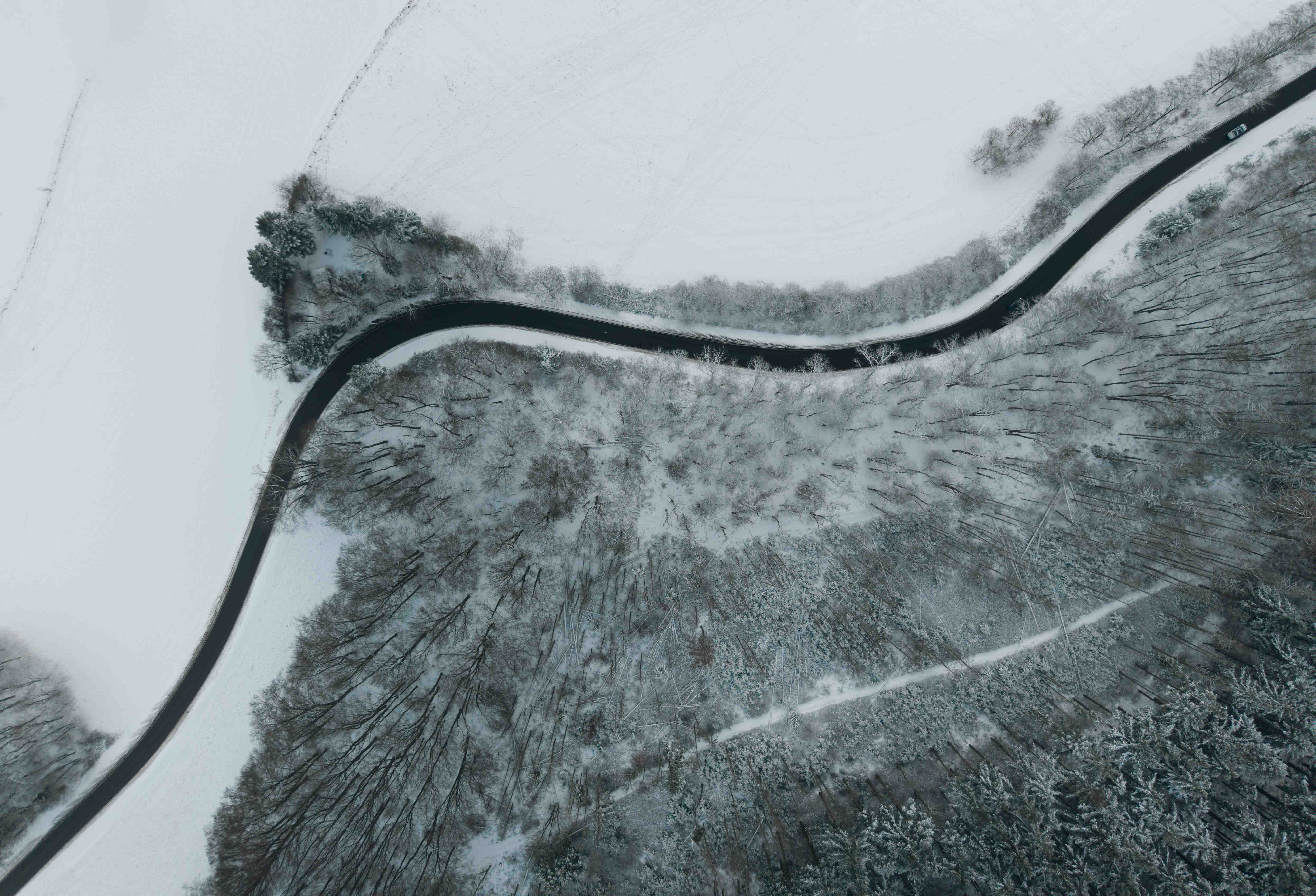 Aerial View of Snowy Forest and Curved Road · Free Stock Photo