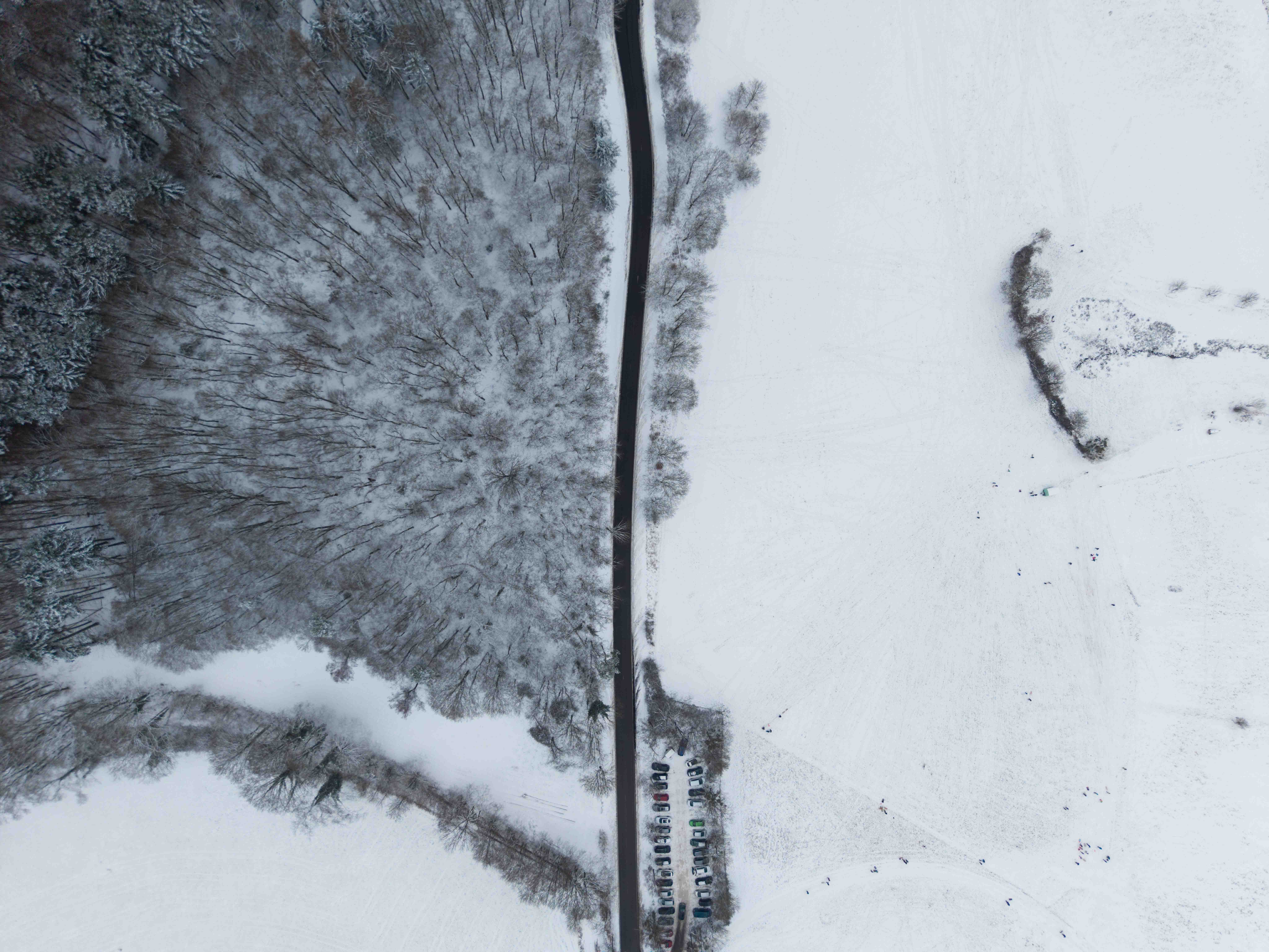 Aerial View of Snow-Covered Forest and Road · Free Stock Photo