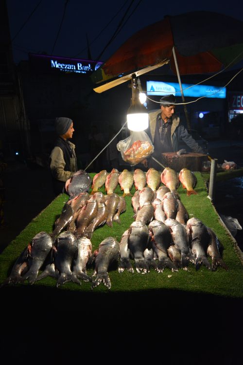 Free Local seafood market in Hassanabad at night showcasing fresh fish with vibrant colors. Stock Photo