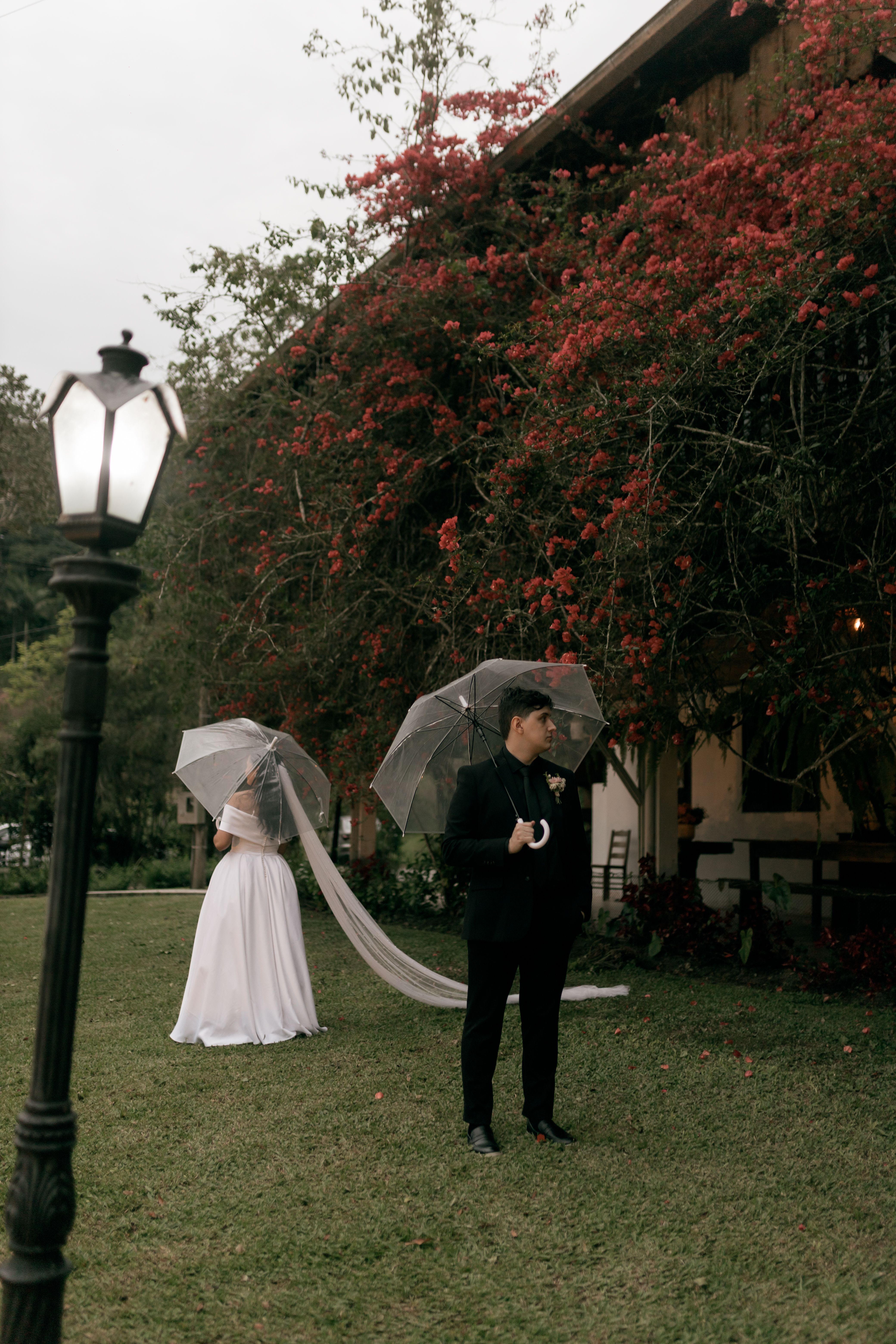 Elegant Outdoor Wedding with Umbrellas in Garden · Free Stock Photo — free download