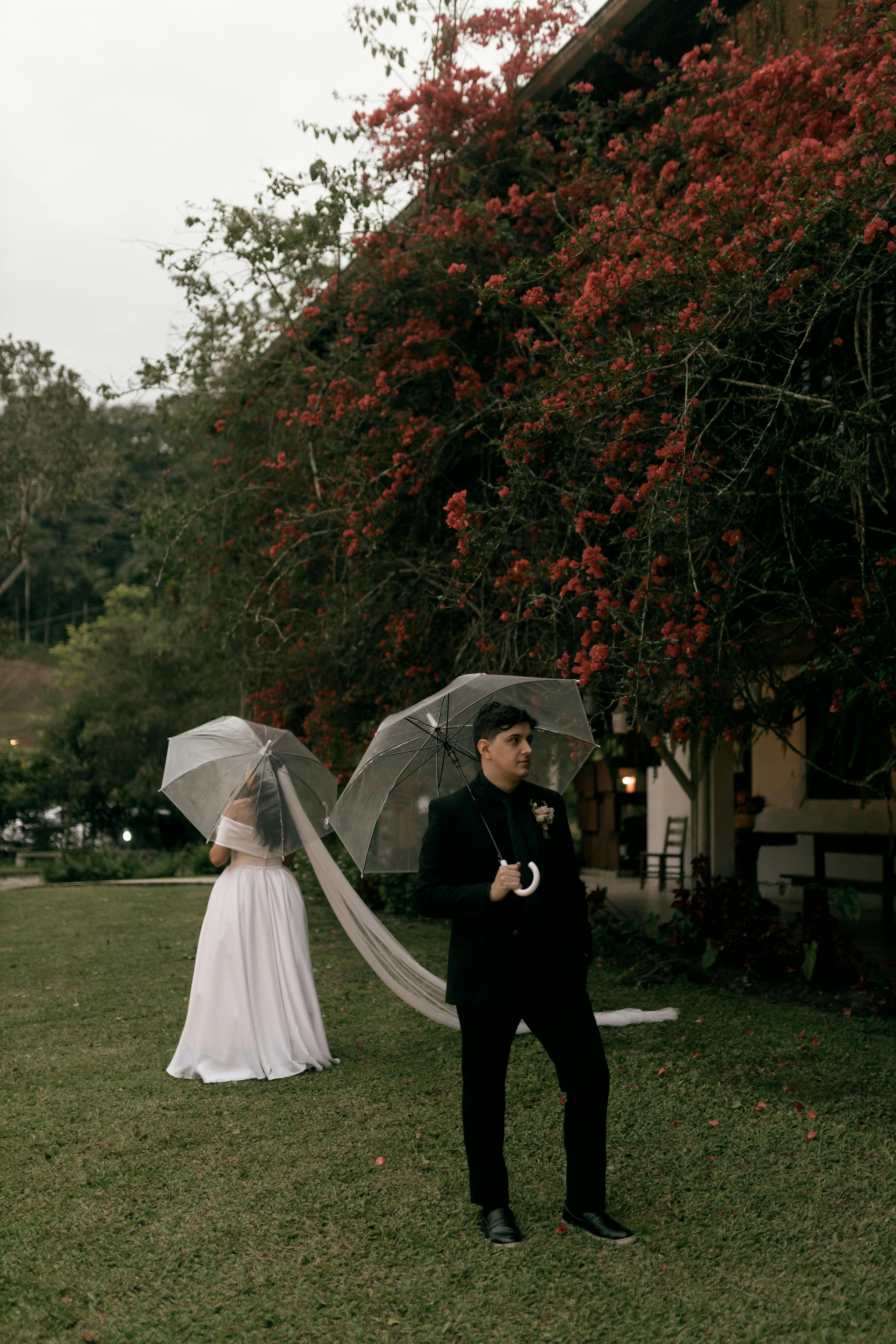 Gratuit Photos gratuites de amour, arbre en fleur, arbre en fleurs Photos