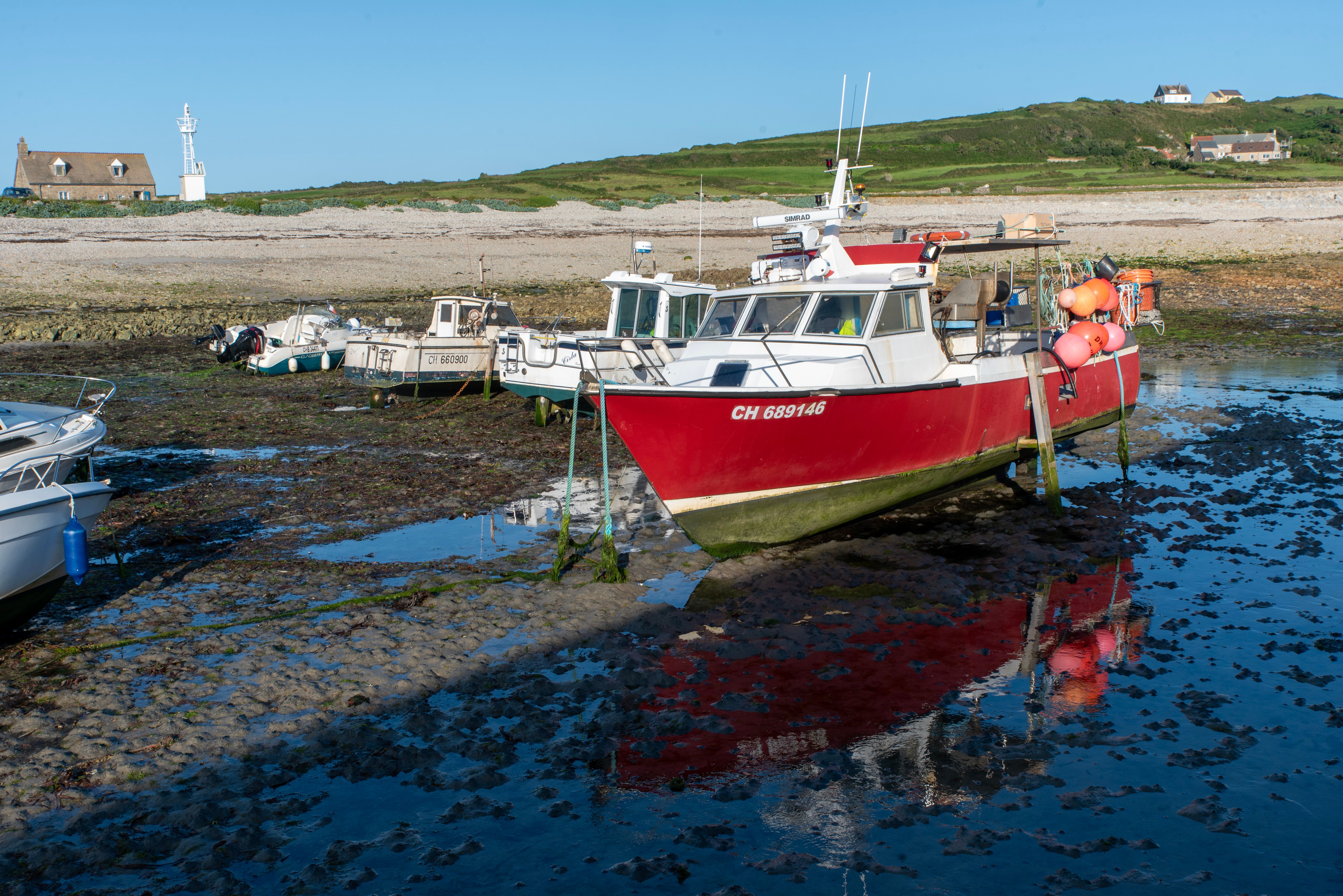 Moored Fishing Boats at Low Tide in Coastal Harbor · Free Stock Photo