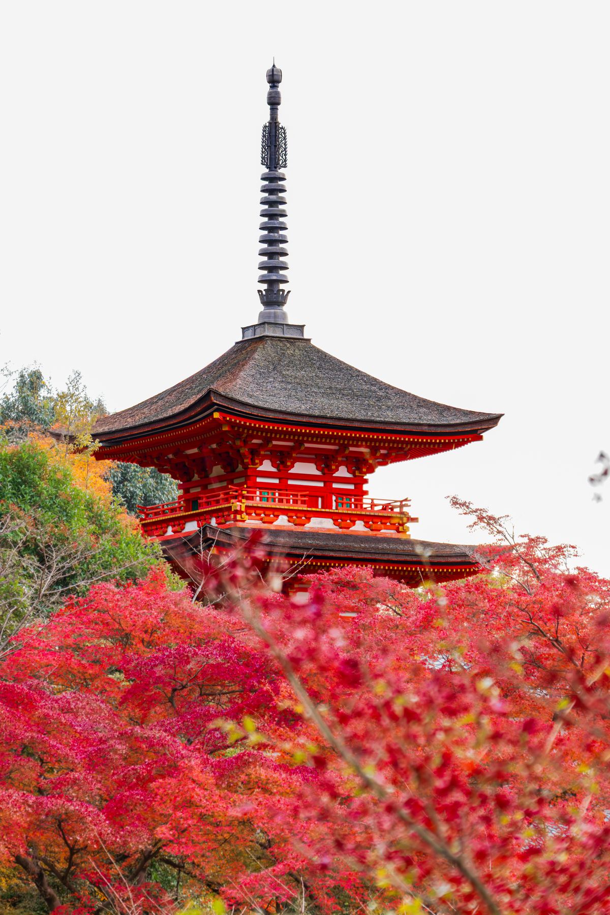 Red temple hall surrounded by autumn foliage