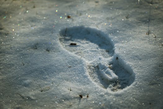 A solitary footprint in sparkling snow, capturing the serene beauty of winter outdoors.