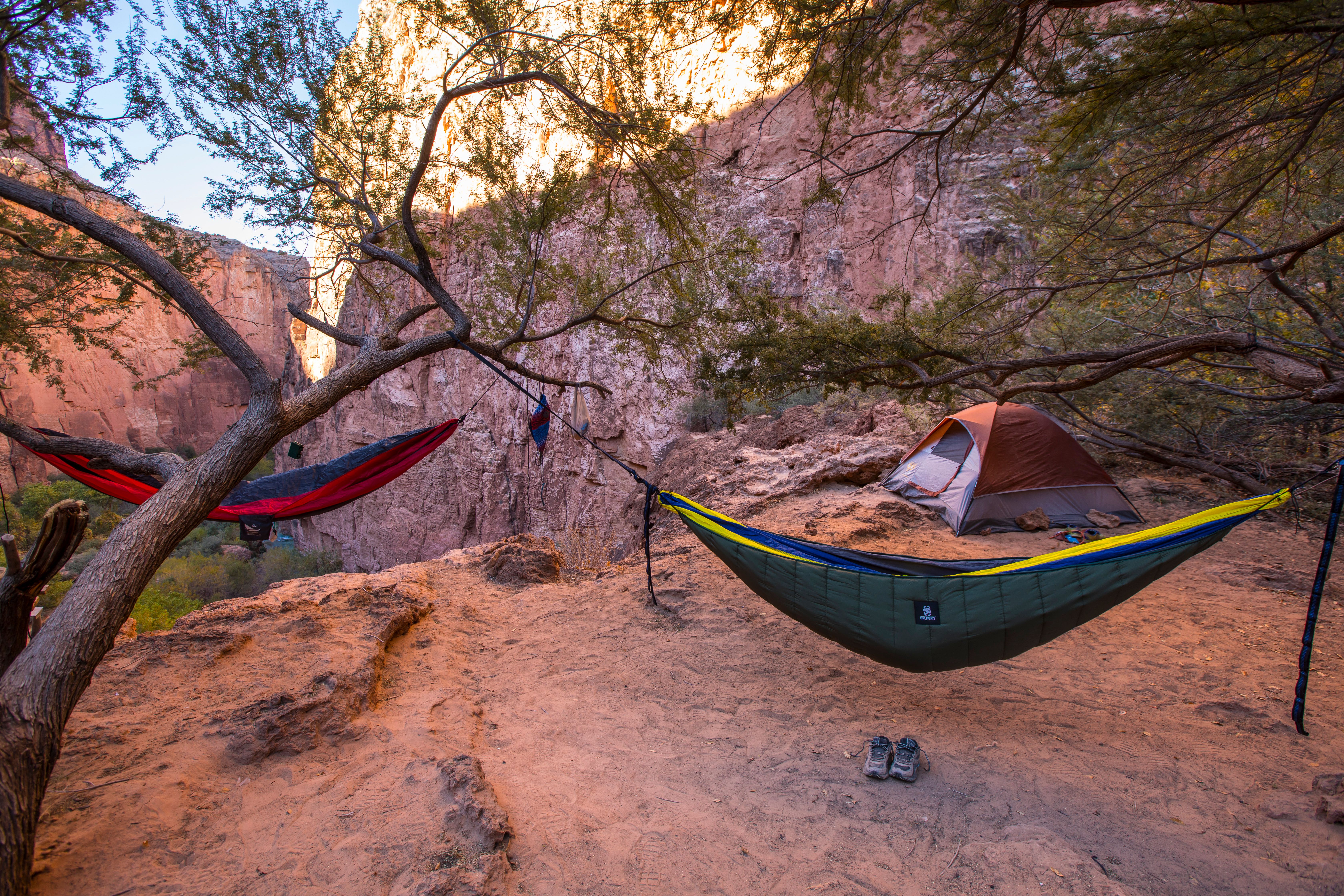 Best Camping Hammocks for Beginners (2026)