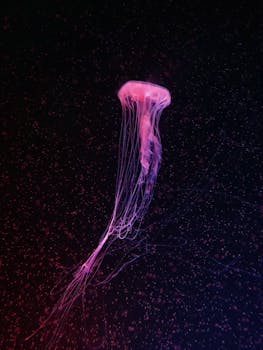 一张令人惊叹的图像：一只发光的紫色水母在黑暗的海水中漂流