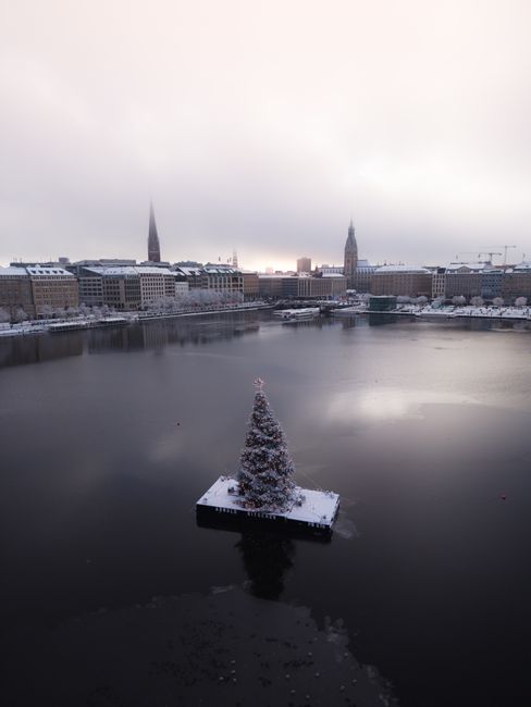 A serene winter scene in Hamburg with a floating Christmas tree on the Alster lake and historic cityscape.