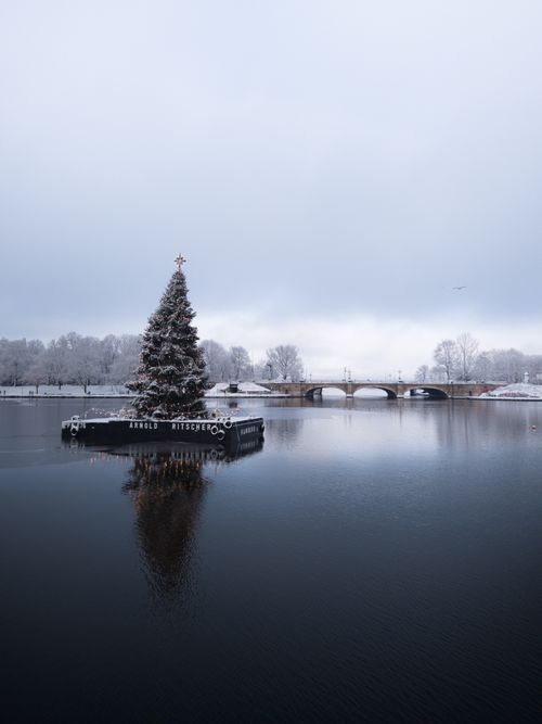 Free A serene view of a floating Christmas tree on a snowy winter day in Hamburg. Stock Photo