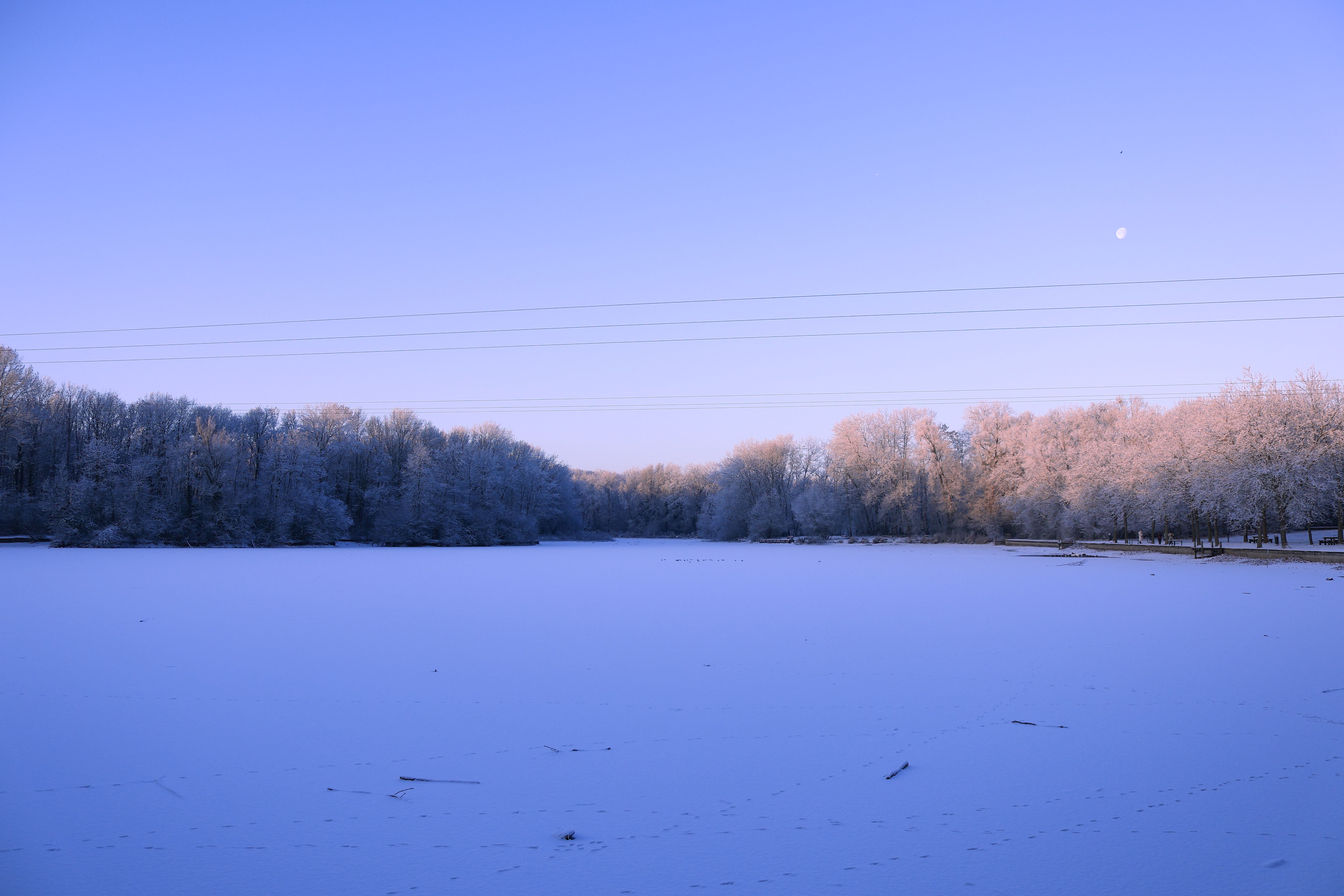 Serene Winter Landscape with Frosty Trees · Free Stock Photo