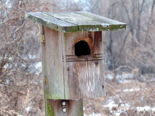 Free Weathered wooden birdhouse in snowy winter landscape, Paramus, NJ. Stock Photo