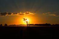 日落色彩鲜艳，照亮宁静的田野，营造出令人惊叹的剪影场景