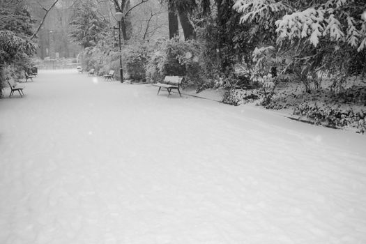 A peaceful and snowy park path lined with benches during winter.