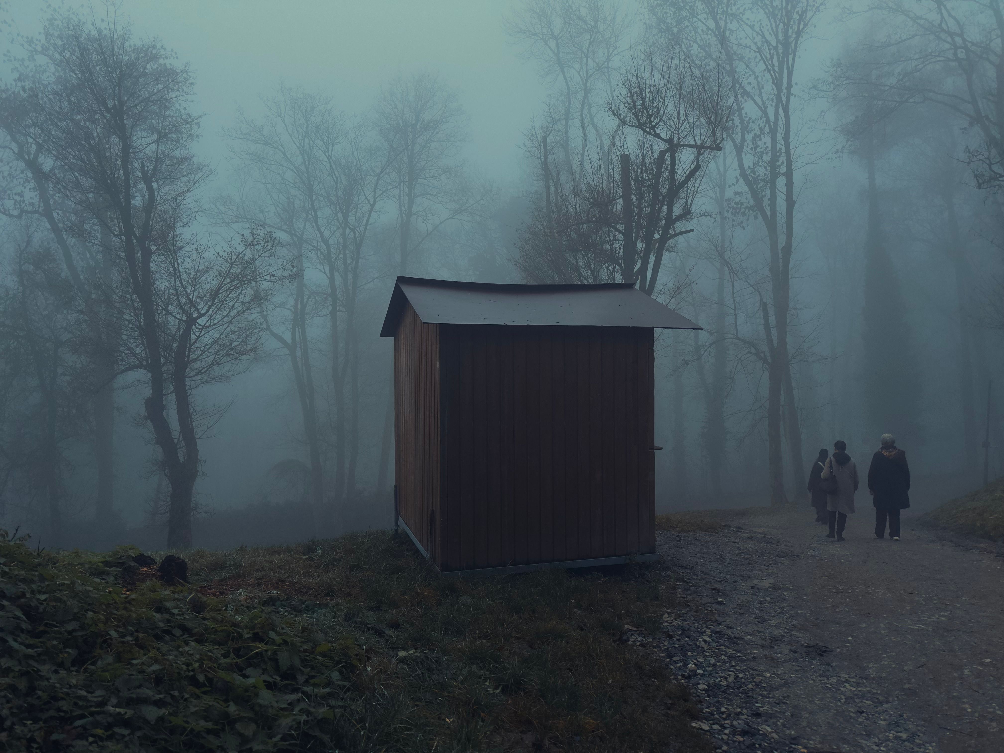 Gîte insolite Cévennes cabane perchée forêt Lozère Hérault réservation été 