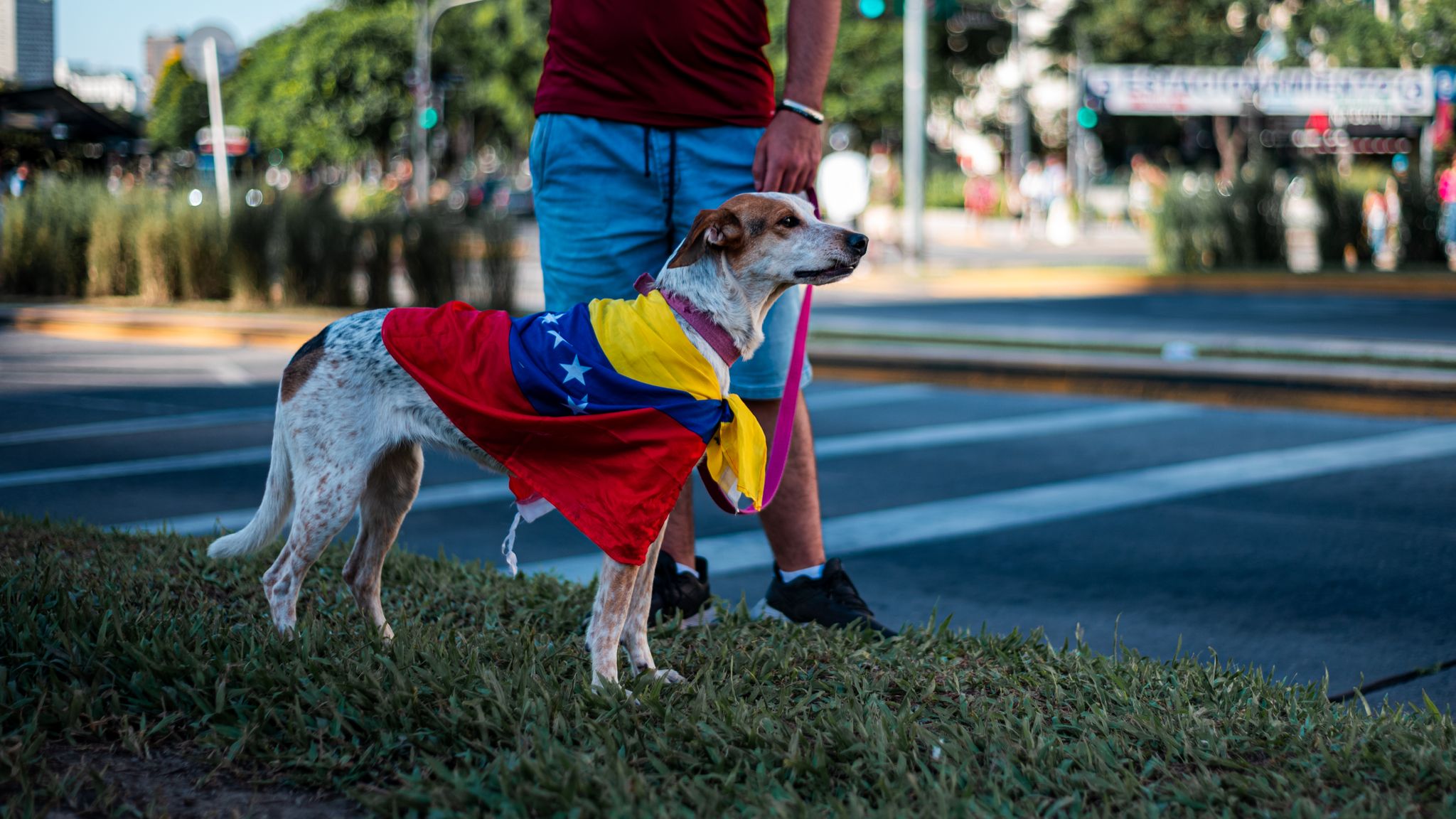 Venezolanen zingen volkslied tijdens herdenkingsdienst in Nederland