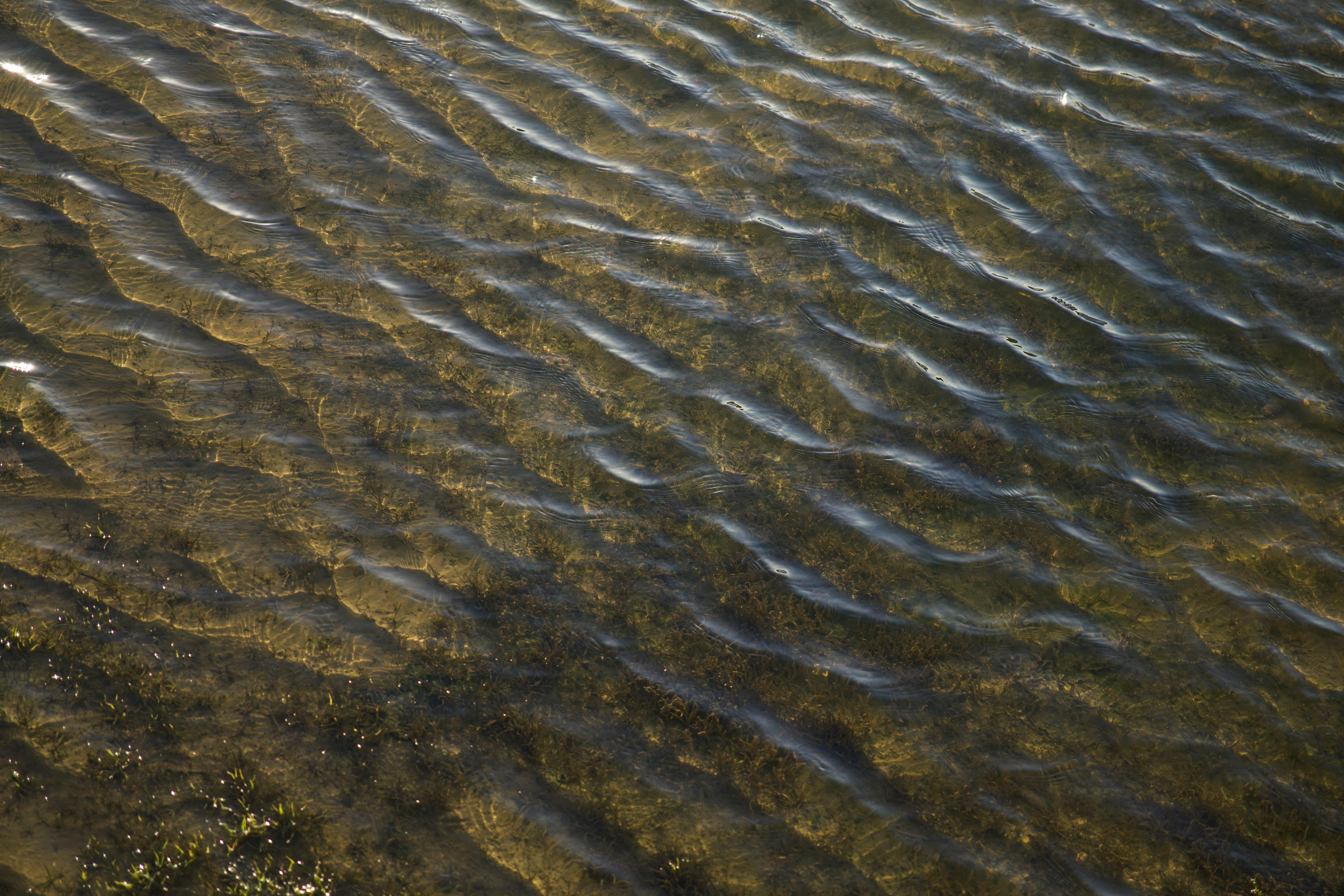 國防部新制改革！機密標示將公開，無字天書時代結束
