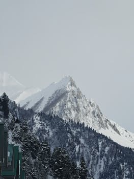 Stunning view of snow-capped alpine mountains with dense forest foreground, perfect for winter travel themes.