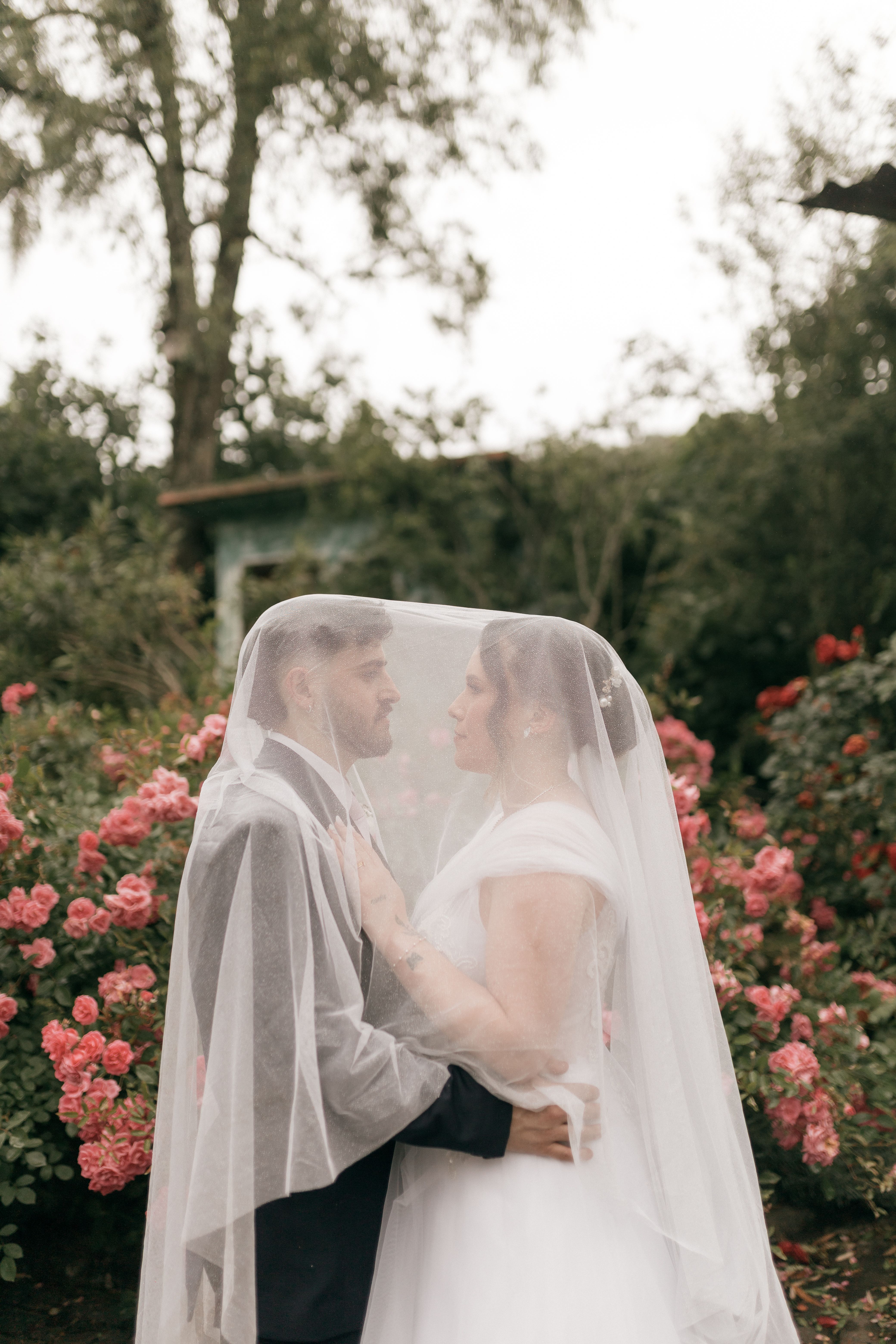 Photo of the Bride and Groom Kissing in a Garden · Free Stock Photo