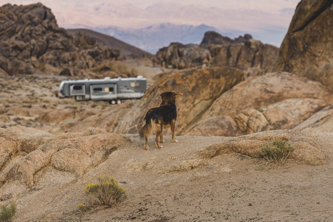 Trailer parked among desert boulders at first light — photo by Stephen Leonardi on Pexels