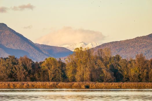 Serene view of autumn trees and distant mountains illuminated by warm sunset light.