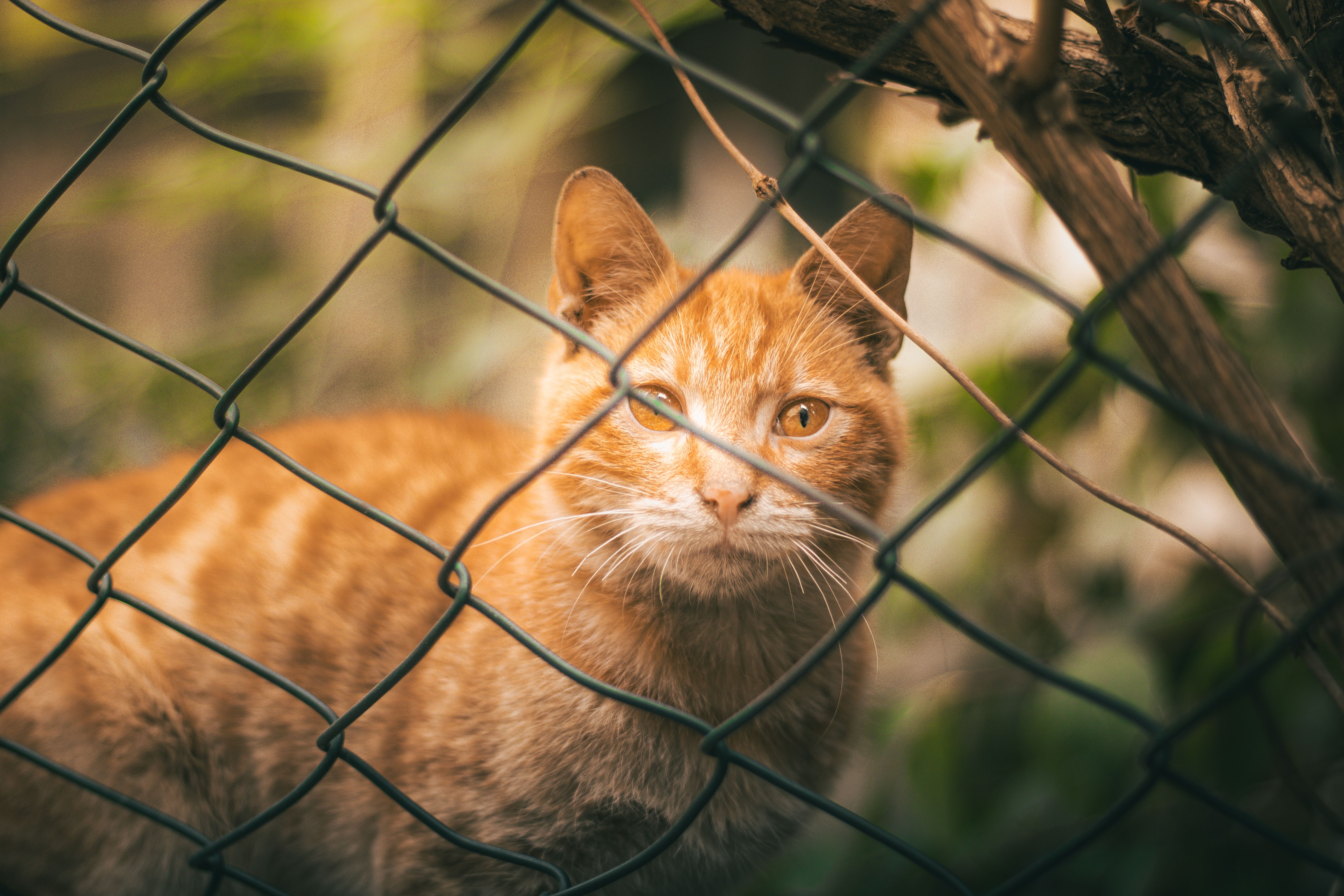 阿里云上Tomcat怎么就是访问不了？一文帮你排查原因