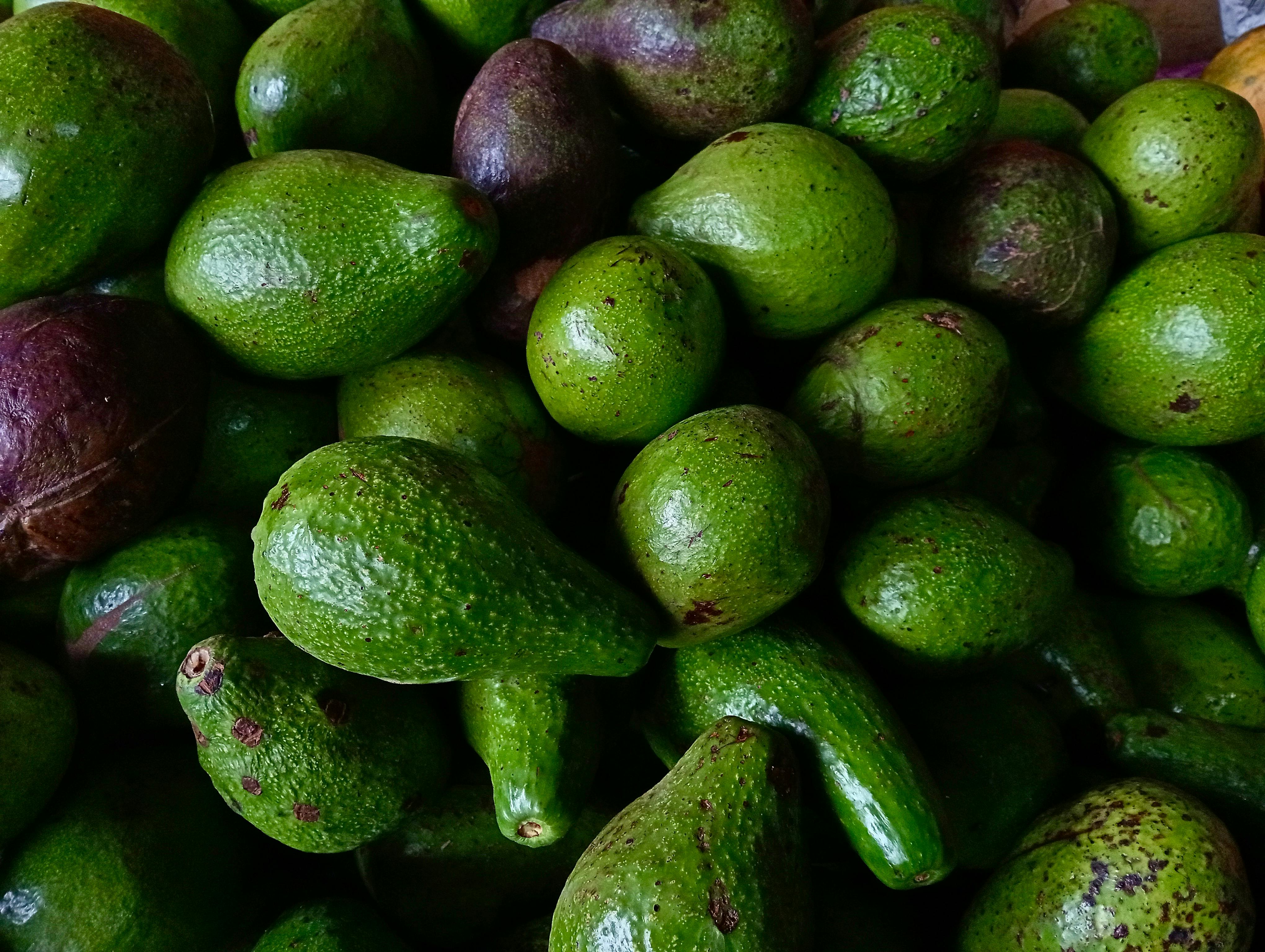 A vibrant close-up of fresh green avocados showcasing their natural texture, ideal for healthy food themes.