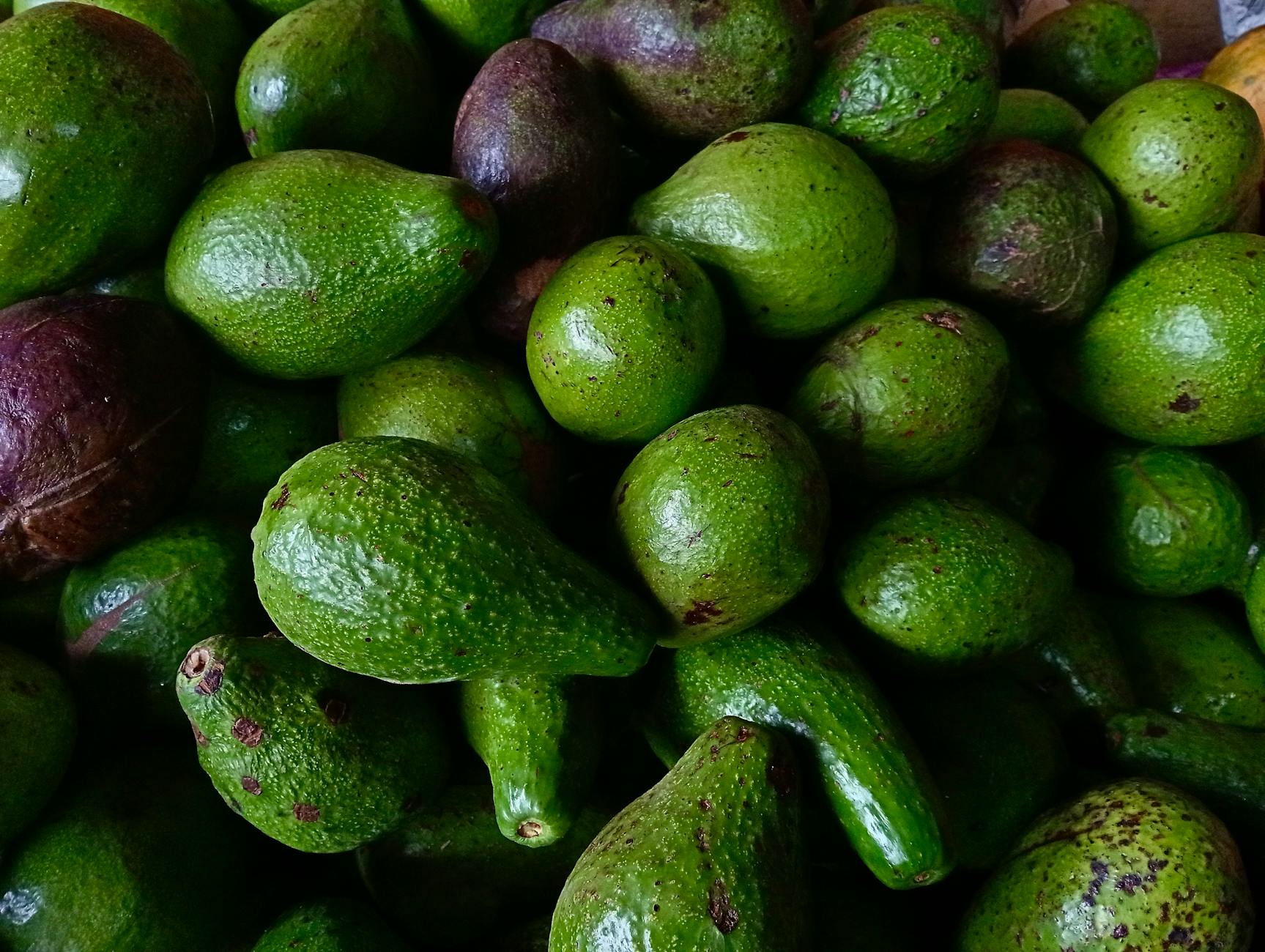 A vibrant close-up of fresh green avocados showcasing their natural texture, ideal for healthy food themes.
