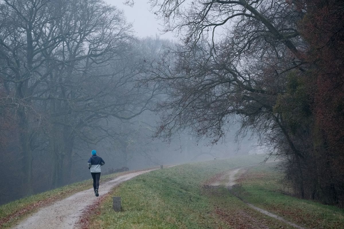 A lone runner in a blue hoodie on a misty forest path, building patient easy miles