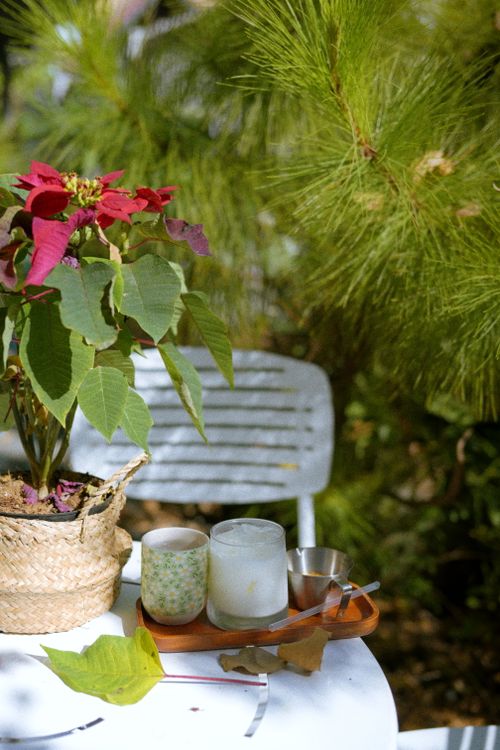 Free Vibrant outdoor table with poinsettia plant and candles, evoking a serene summer ambiance. Stock Photo