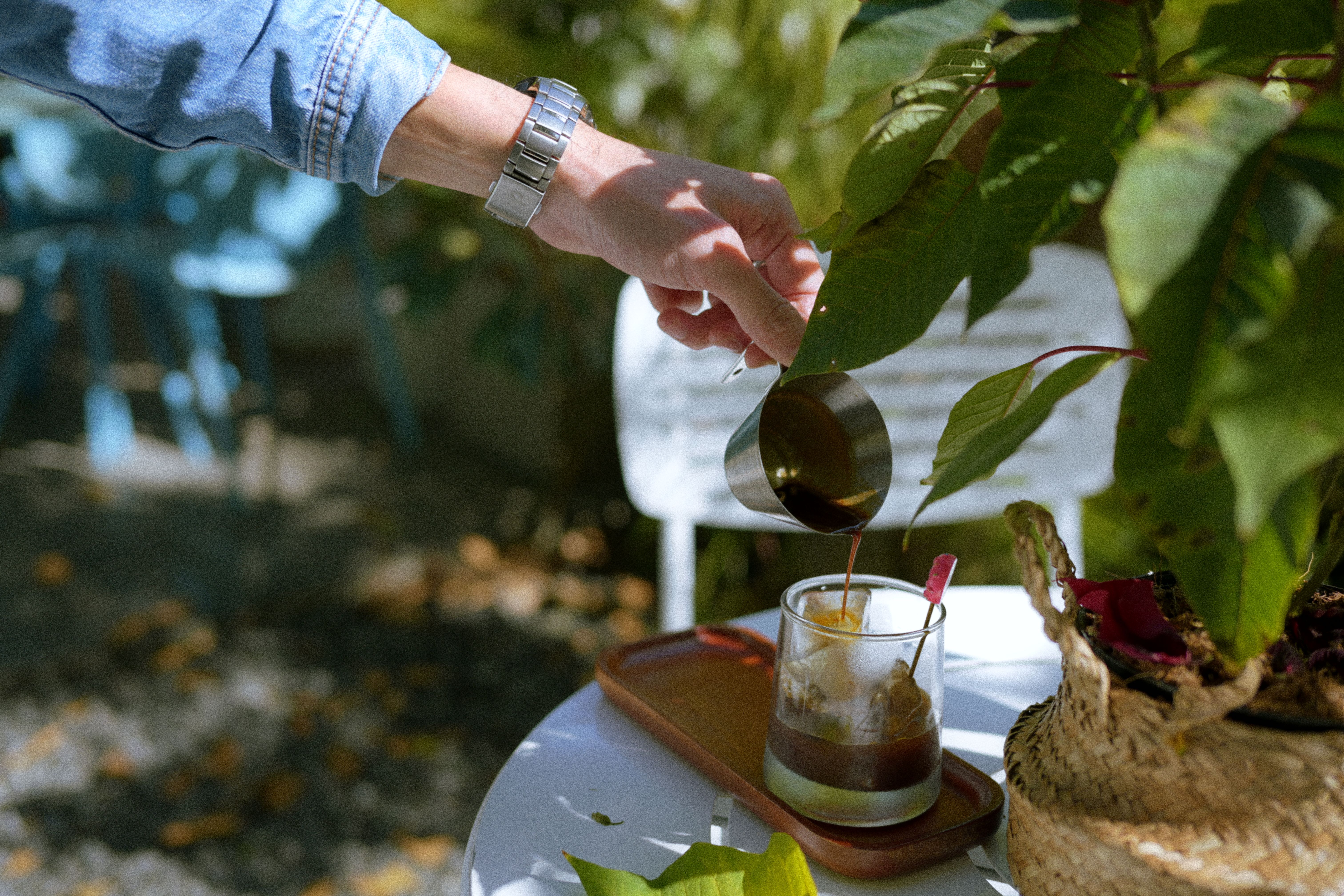 Le rythme secret pour arroser vos plantes vertes